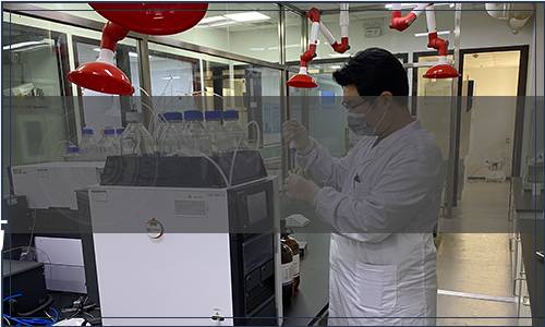 廣西壯族自治區(qū)市場(chǎng)監(jiān)督管理局關(guān)于批準(zhǔn)發(fā)布《地理標(biāo)志產(chǎn)品 防城金花茶》等68項(xiàng)地方標(biāo)準(zhǔn)的通告