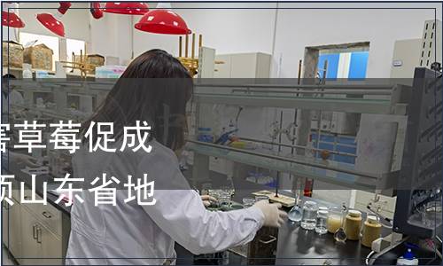 關(guān)于批準發(fā)布《無公害草莓促成栽培技術(shù)規(guī)程》等47項山東省地方標準的公告