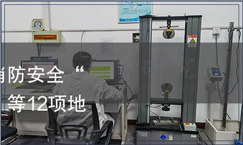 關于發(fā)布《社會單位消防安全“四個能力”建設導則》等12項地方標準的公告