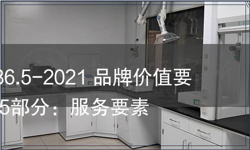 GB/T 29186.5-2021 品牌價值要素評價  第5部分：服務要素