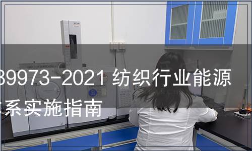 GB/T 39973-2021 紡織行業能源管理體系實施指南