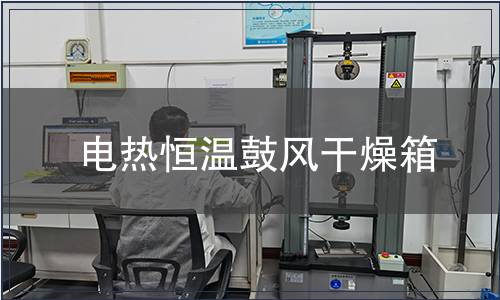 電熱恒溫鼓風干燥箱