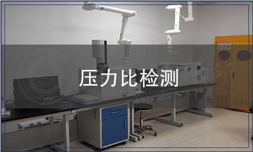 壓力比檢測(cè)