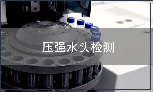 壓強水頭檢測