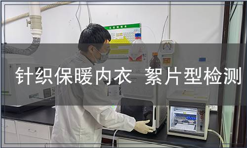 針織保暖內衣  絮片型檢測