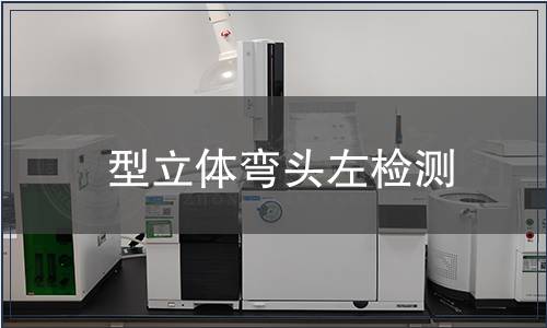 型立體彎頭左檢測