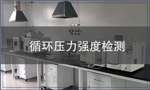 循環(huán)壓力強度檢測