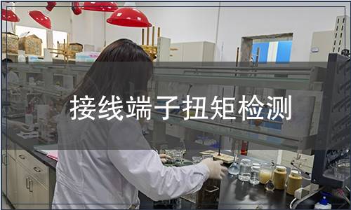 接線端子扭矩檢測(cè)