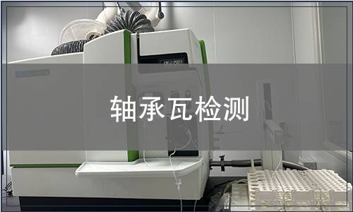 軸承瓦檢測(cè)