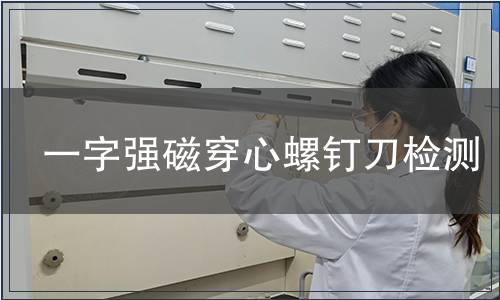 一字強(qiáng)磁穿心螺釘?shù)稒z測(cè)