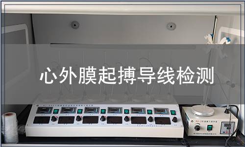 心外膜起搏導線檢測