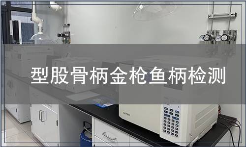 型股骨柄金槍魚柄檢測