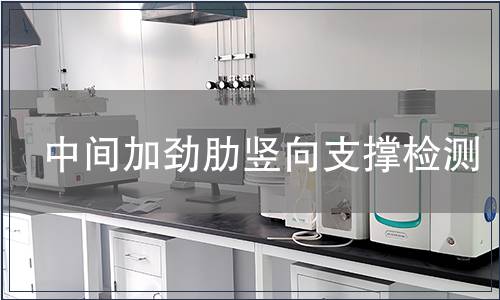 中間加勁肋豎向支撐檢測