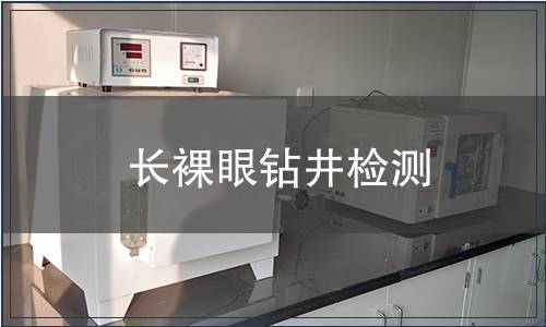 長裸眼鉆井檢測