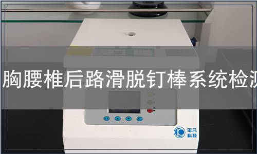 胸腰椎后路滑脫釘棒系統(tǒng)檢測