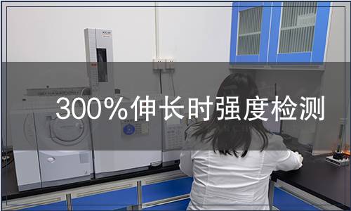 300％伸長時強度檢測