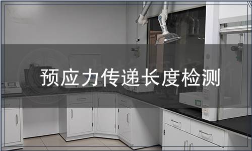 預(yù)應(yīng)力傳遞長(zhǎng)度檢測(cè)