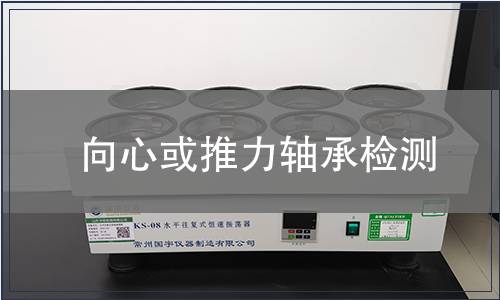 向心或推力軸承檢測(cè)