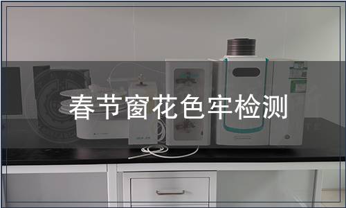 春節窗花色牢檢測