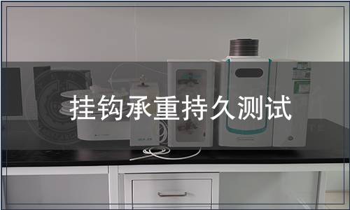 掛鉤承重持久測試