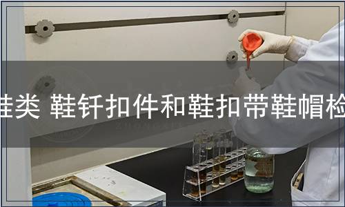 鞋類 鞋釬扣件和鞋扣帶鞋帽檢測