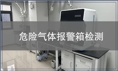 危險(xiǎn)氣體報(bào)警箱檢測