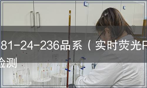 281-24-236品系（實時熒光PCR）檢測