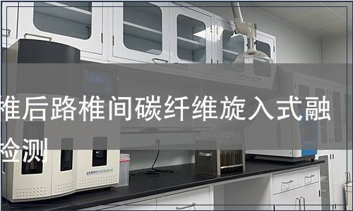 胸腰椎后路椎間碳纖維旋入式融合器檢測