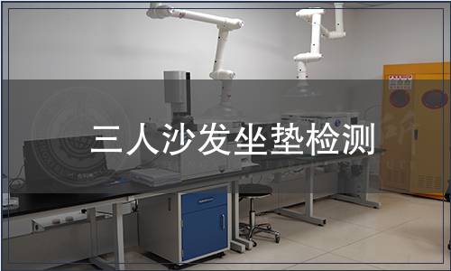 三人沙發(fā)坐墊檢測