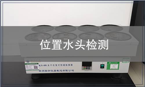位置水頭檢測