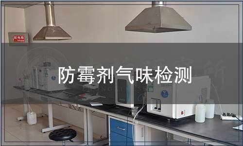 防霉劑氣味檢測