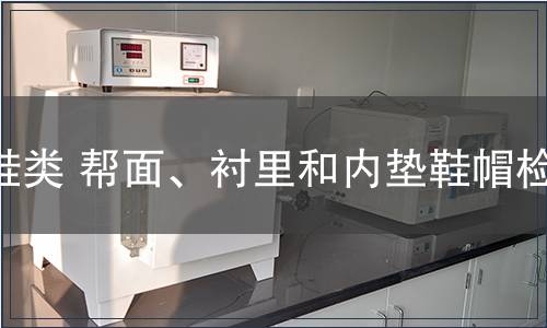 鞋類 幫面、襯里和內墊鞋帽檢測