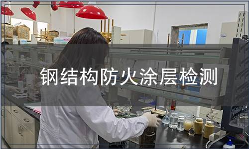 鋼結(jié)構(gòu)防火涂層檢測