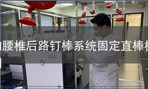 胸腰椎后路釘棒系統固定直棒檢測