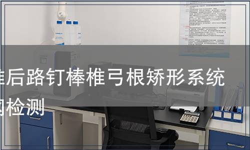 胸腰椎后路釘棒椎弓根矯形系統(tǒng)不銹鋼檢測