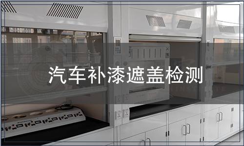 汽車補漆遮蓋檢測