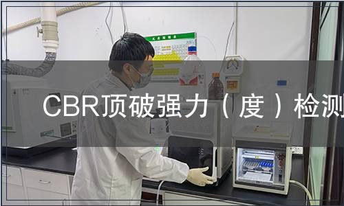 CBR頂破強力（度）檢測