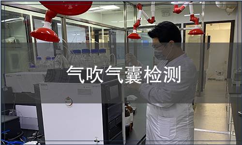 氣吹氣囊檢測(cè)