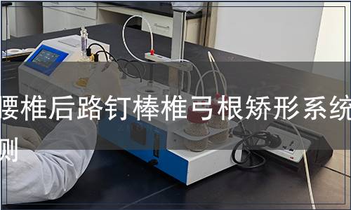 胸腰椎后路釘棒椎弓根矯形系統檢測