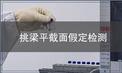 挑梁平截面假定檢測