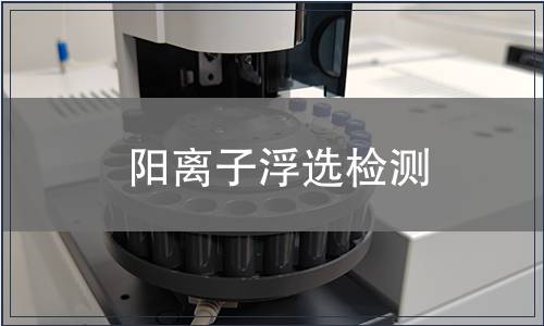 陽(yáng)離子浮選檢測(cè)