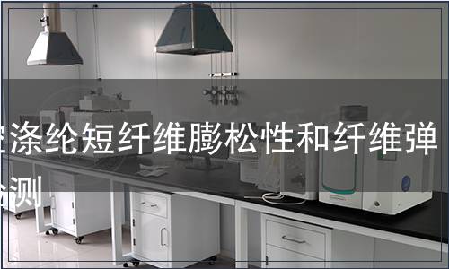 中空滌綸短纖維膨松性和纖維彈性檢測(cè)