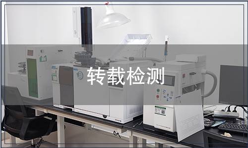 轉(zhuǎn)載檢測