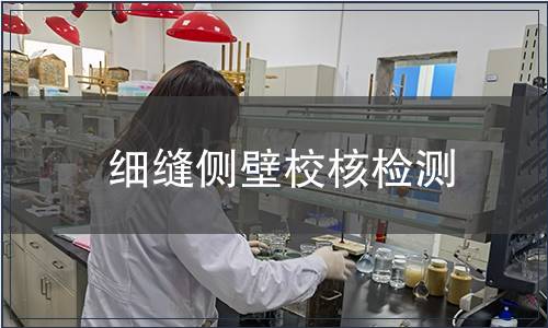 細縫側壁校核檢測