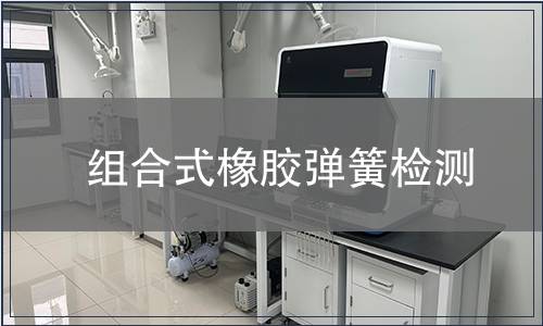 組合式橡膠彈簧檢測(cè)