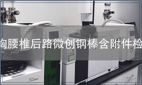 胸腰椎后路微創鋼棒含附件檢測