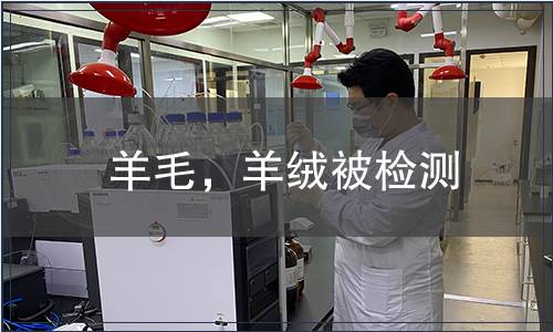 羊毛，羊絨被檢測