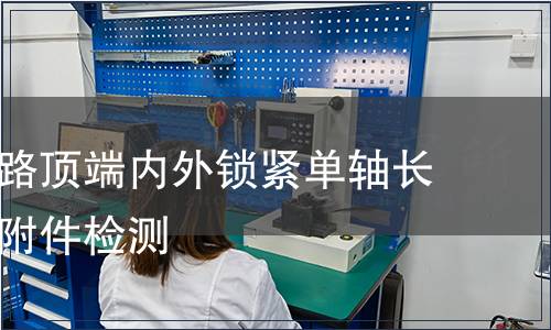 胸腰椎后路頂端內(nèi)外鎖緊單軸長臂螺釘含附件檢測