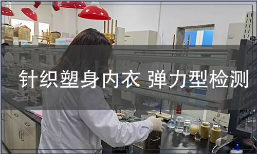 針織塑身內(nèi)衣 彈力型檢測