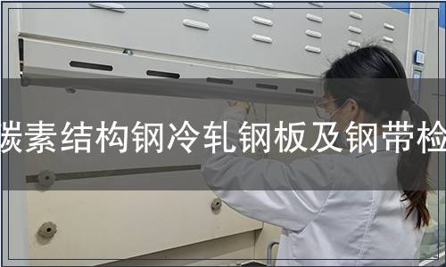 碳素結構鋼冷軋鋼板及鋼帶檢測